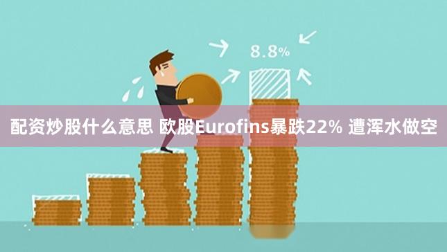 配资炒股什么意思 欧股Eurofins暴跌22% 遭浑水做空