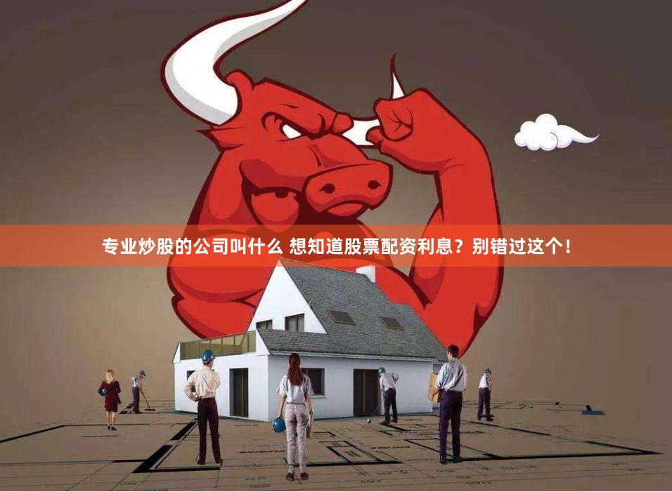 专业炒股的公司叫什么 想知道股票配资利息？别错过这个！